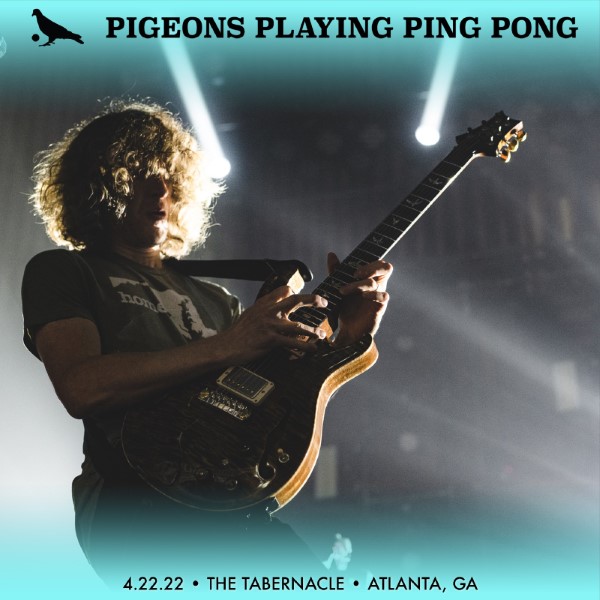 Pigeons Playing Ping Pong