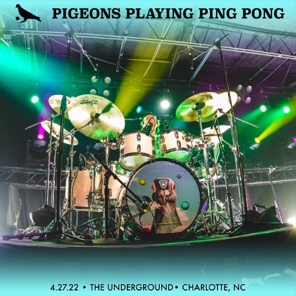 Pigeons Playing Ping Pong