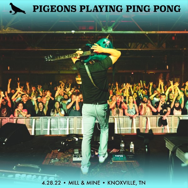 Pigeons Playing Ping Pong