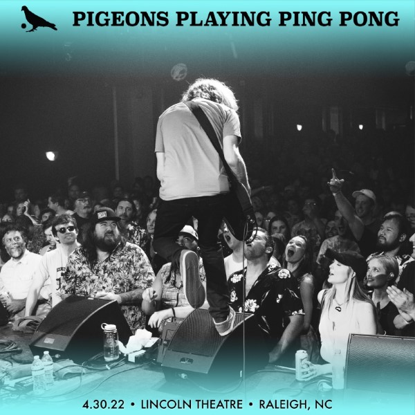 Pigeons Playing Ping Pong