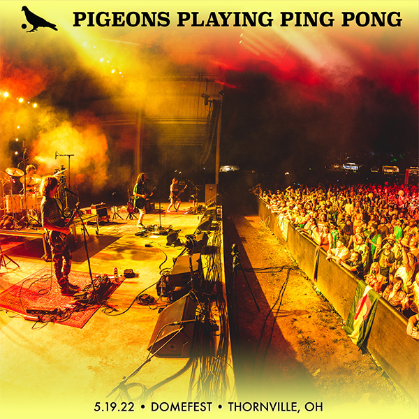 Pigeons Playing Ping Pong