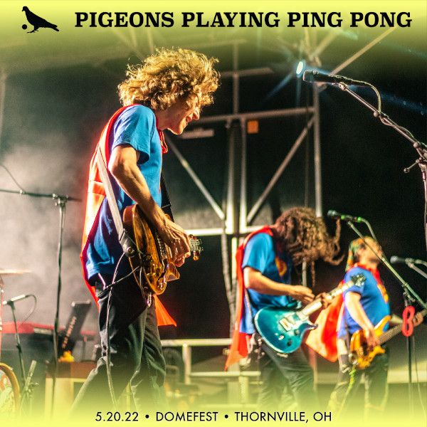 Pigeons Playing Ping Pong