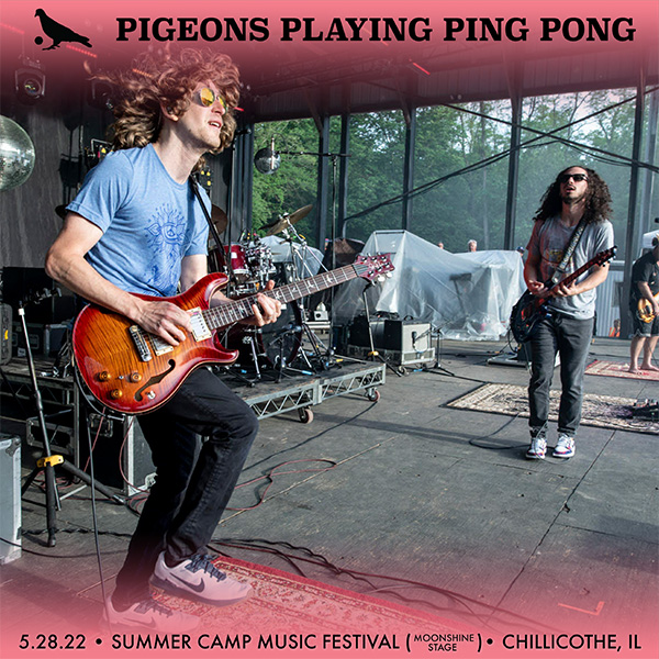 Pigeons Playing Ping Pong