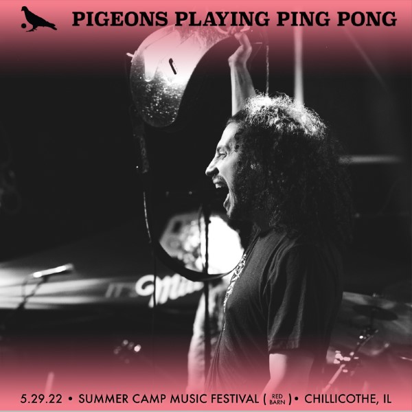 Pigeons Playing Ping Pong