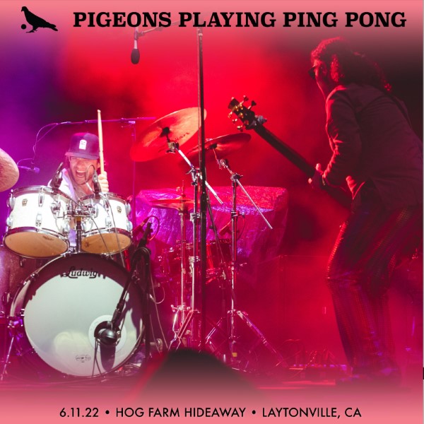 Pigeons Playing Ping Pong