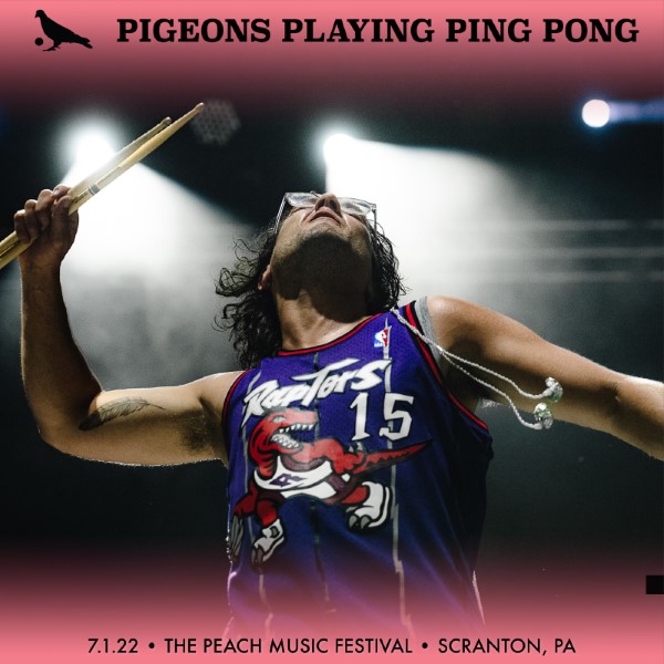 Pigeons Playing Ping Pong