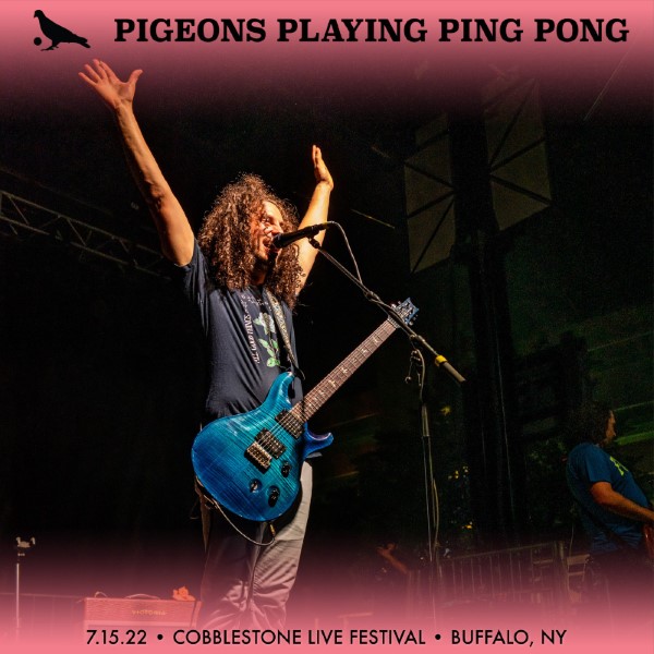 Pigeons Playing Ping Pong