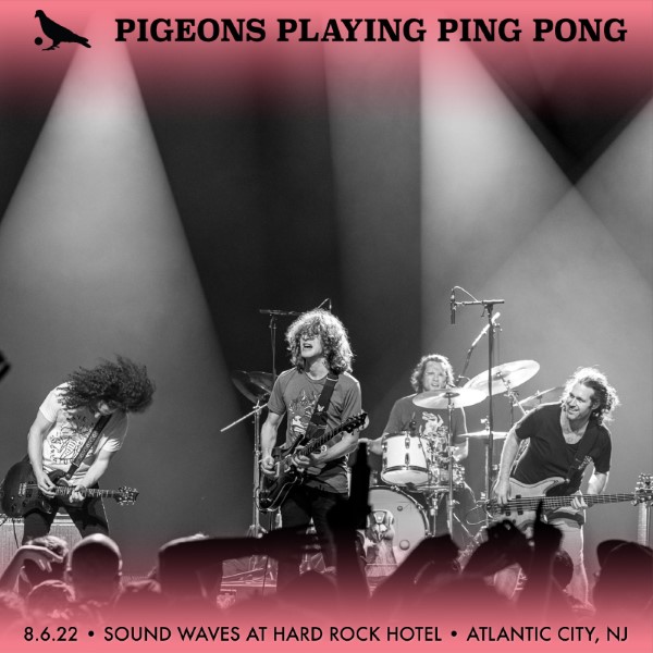 Pigeons Playing Ping Pong