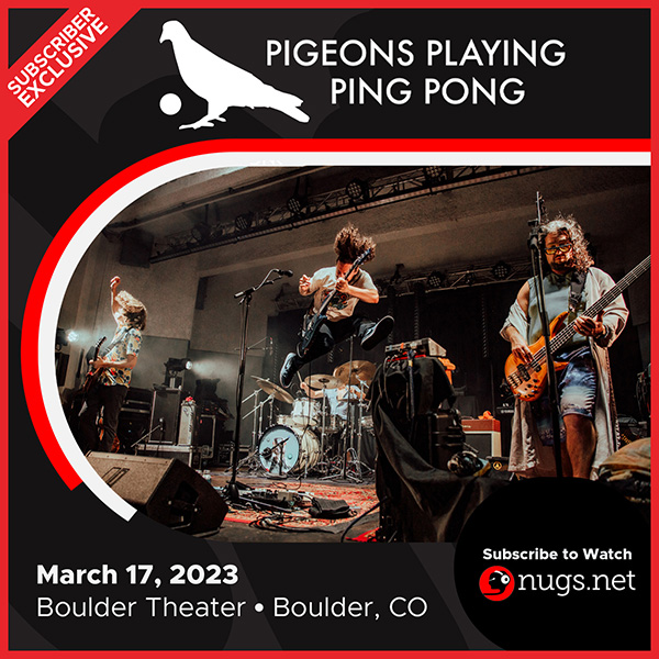 Pigeons Playing Ping Pong