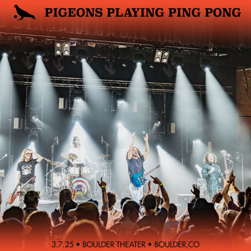 Pigeons Playing Ping Pong