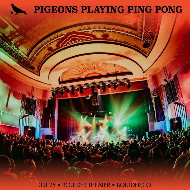 Pigeons Playing Ping Pong