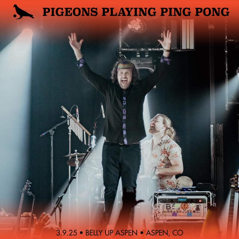 Pigeons Playing Ping Pong