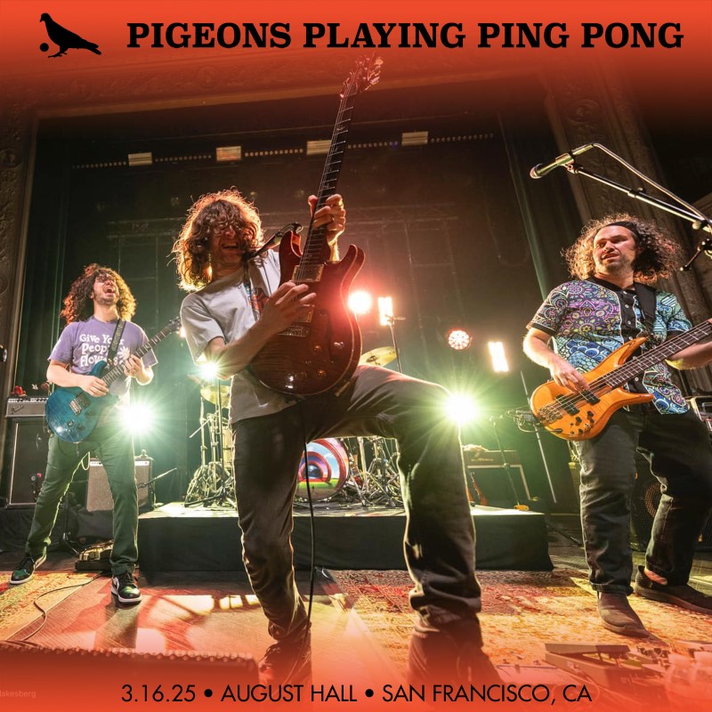 Pigeons Playing Ping Pong