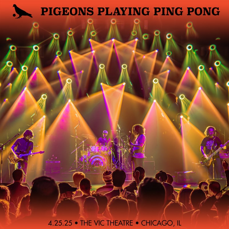 Pigeons Playing Ping Pong