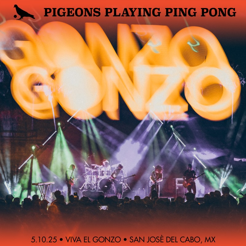 Pigeons Playing Ping Pong