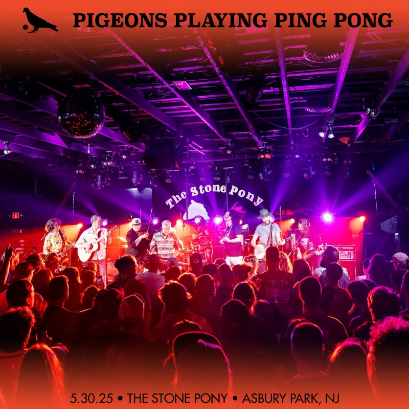 Pigeons Playing Ping Pong