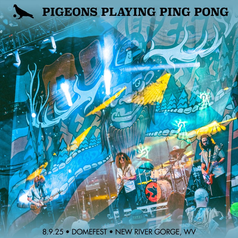 Pigeons Playing Ping Pong