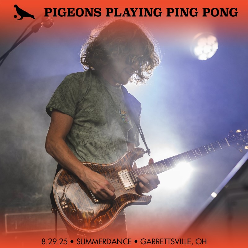 Pigeons Playing Ping Pong