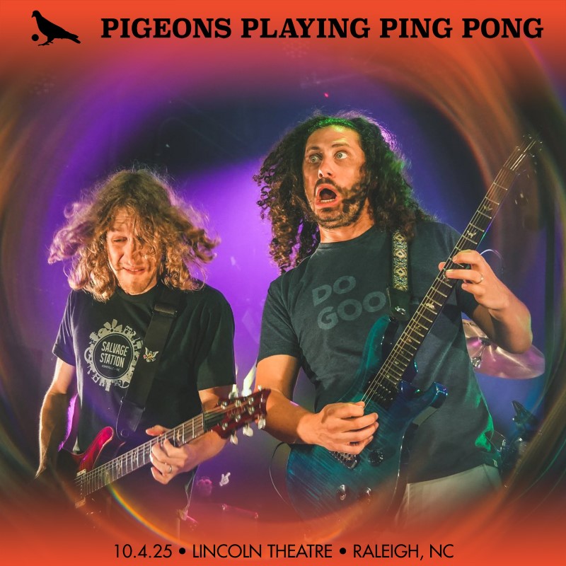 Pigeons Playing Ping Pong