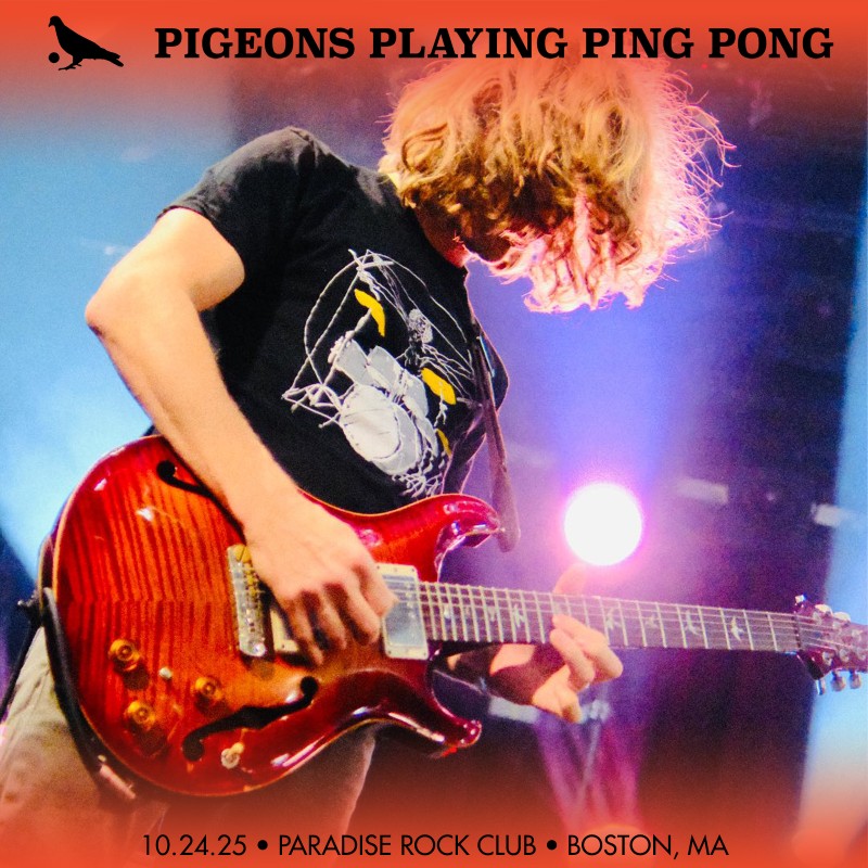 Pigeons Playing Ping Pong Pigeons Playing Ping Pong