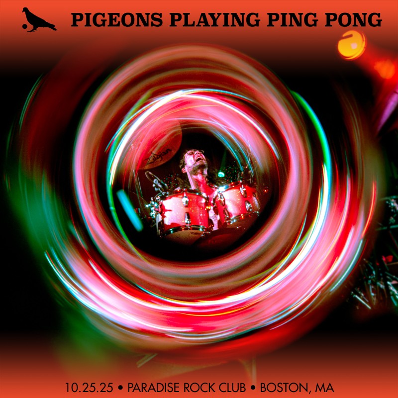 Pigeons Playing Ping Pong Pigeons Playing Ping Pong