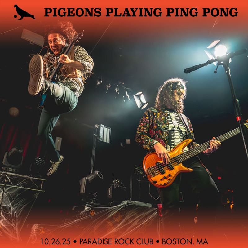 Pigeons Playing Ping Pong Pigeons Playing Ping Pong