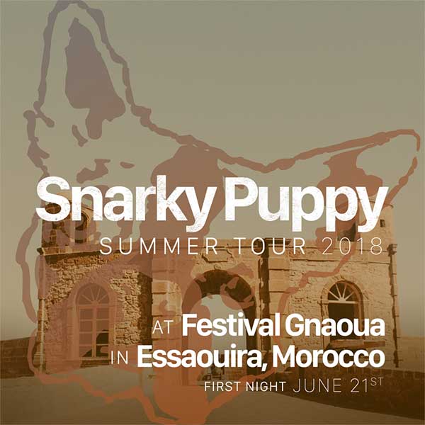 Snarky Puppy