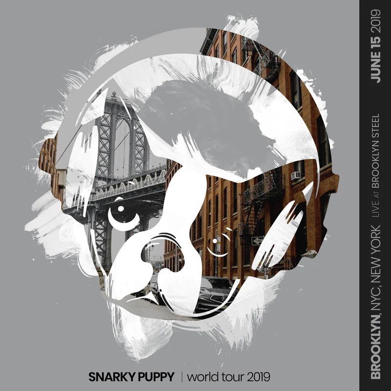 Snarky Puppy